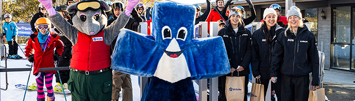 Opening celebrations_banner