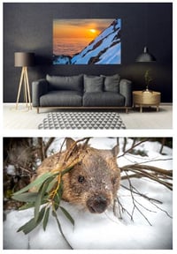 Photographic art of Mt Buller customised for your space by photographer Tony Harrington (C) HarroArt Gallery