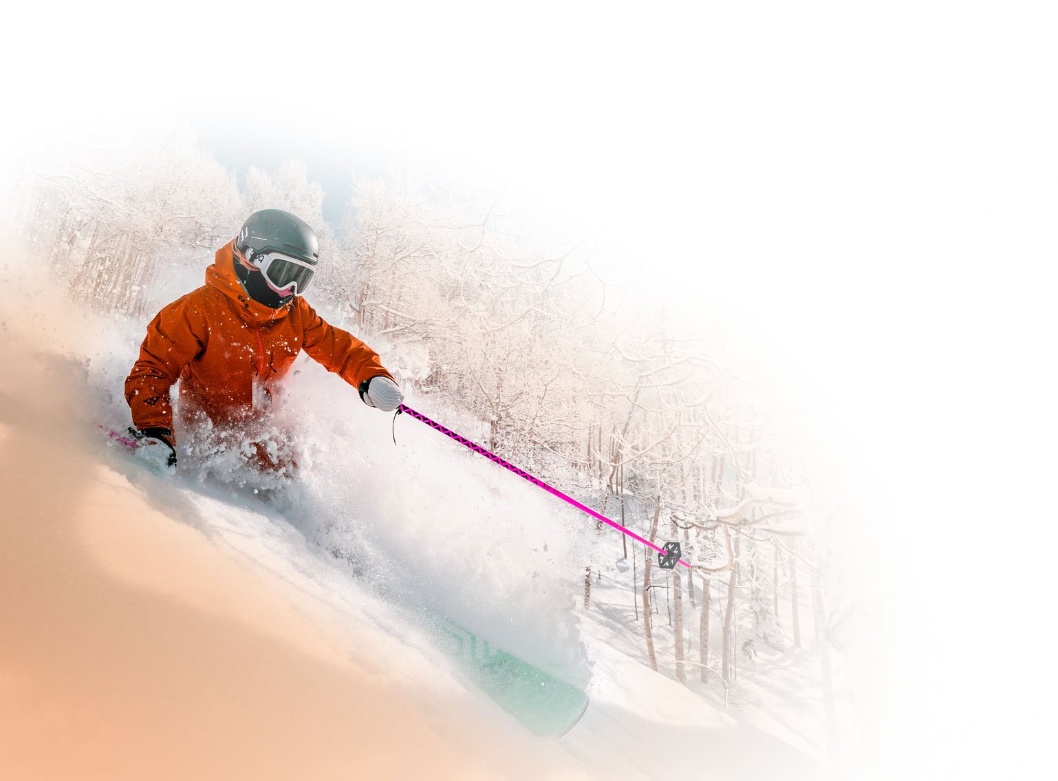 Mountain Collective Hero Image