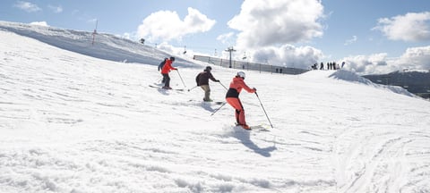 Skiers enjoying the cover on Skyline on a sunny day - 18 Aug 2024