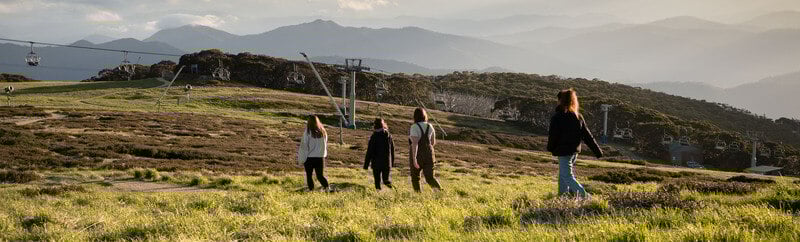 Mt Buller's Summit Nature Walk is a stunning 4km loop with 360 views that anyone can enjoy