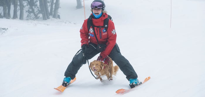 Chilli and handler Tess Hoinville couldn't more more excited to be back on snow together
