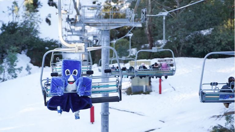 Blake the Flake on Northside scenic chair ride